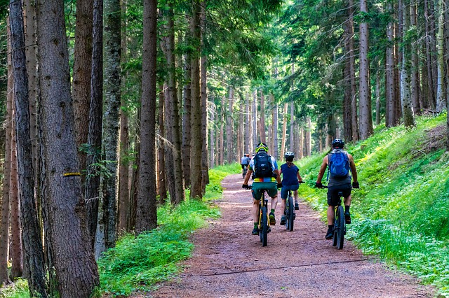 Mejores bicicletas de montaña para empezar: modelos a fichar