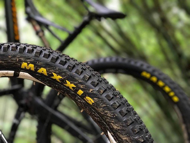 Las mejores cubiertas para MTB – Ofertas, modelos y opinión